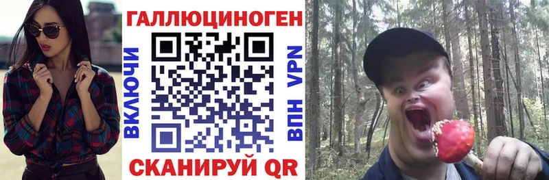 купить закладку  Ессентуки  Псилоцибиновые грибы Magic Shrooms 