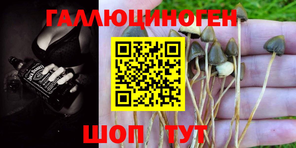 Псилоцибиновые грибы Psilocybine cubensis  Вход с VPN  Ессентуки 